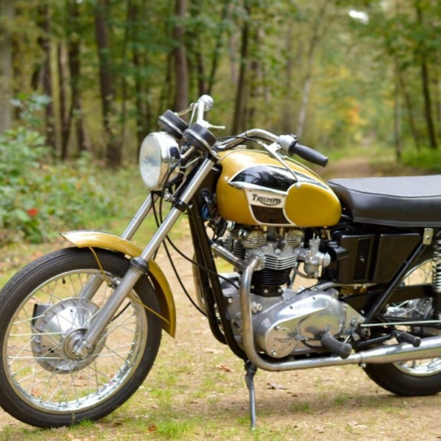 Triumph Tiger Gold Paint Product